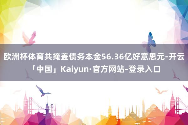 欧洲杯体育共掩盖债务本金56.36亿好意思元-开云「中国」Kaiyun·官方网站-登录入口