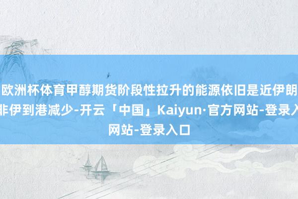 欧洲杯体育甲醇期货阶段性拉升的能源依旧是近伊朗及非伊到港减少-开云「中国」Kaiyun·官方网站-登录入口