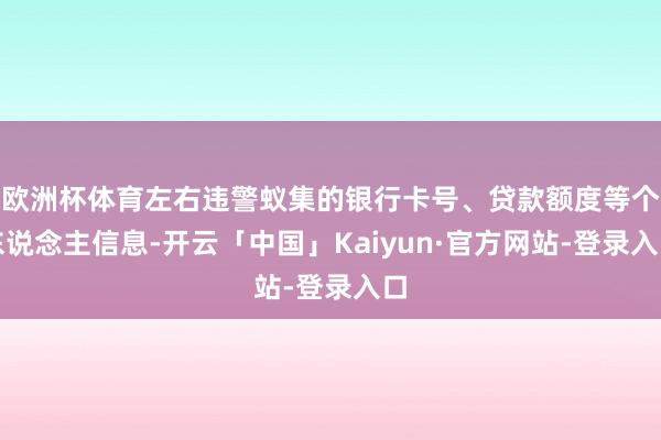 欧洲杯体育左右违警蚁集的银行卡号、贷款额度等个东说念主信息-开云「中国」Kaiyun·官方网站-登录入口