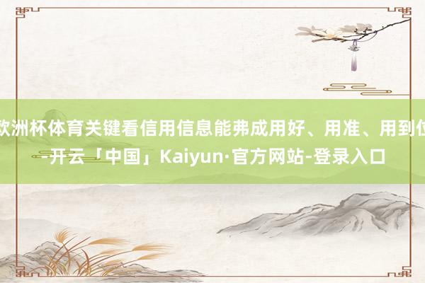 欧洲杯体育关键看信用信息能弗成用好、用准、用到位-开云「中国」Kaiyun·官方网站-登录入口