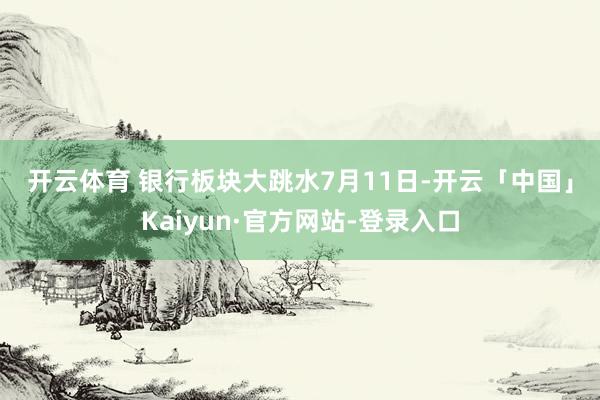 开云体育 　　银行板块大跳水　　7月11日-开云「中国」Kaiyun·官方网站-登录入口