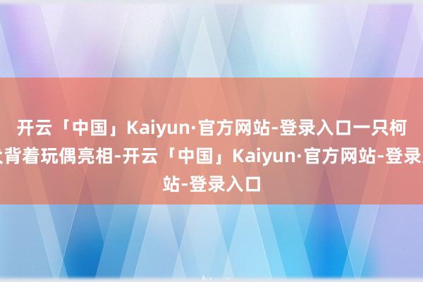 开云「中国」Kaiyun·官方网站-登录入口一只柯基犬背着玩偶亮相-开云「中国」Kaiyun·官方网站-登录入口