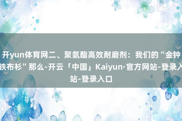 开yun体育网二、聚氨酯高效耐磨剂:我们的“金钟罩铁布衫”那么-开云「中国」Kaiyun·官方网站-登录入口