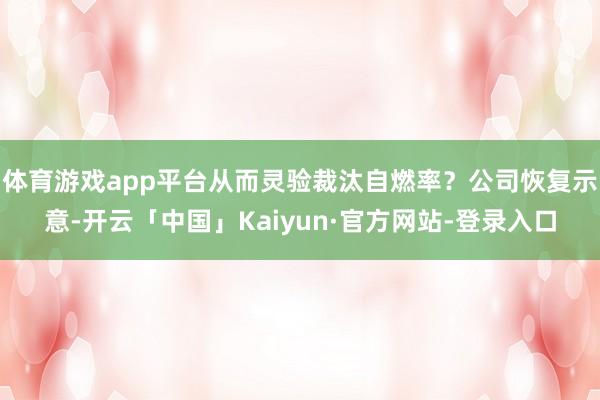 体育游戏app平台从而灵验裁汰自燃率？公司恢复示意-开云「中国」Kaiyun·官方网站-登录入口