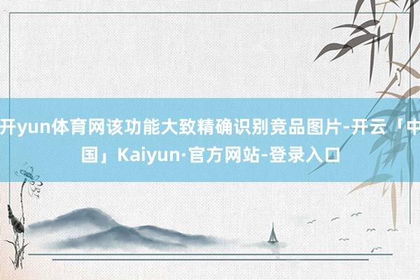 开yun体育网该功能大致精确识别竞品图片-开云「中国」Kaiyun·官方网站-登录入口