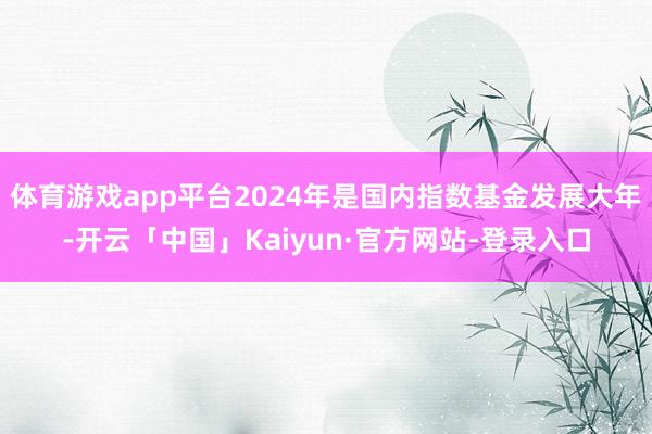 体育游戏app平台2024年是国内指数基金发展大年-开云「中国」Kaiyun·官方网站-登录入口
