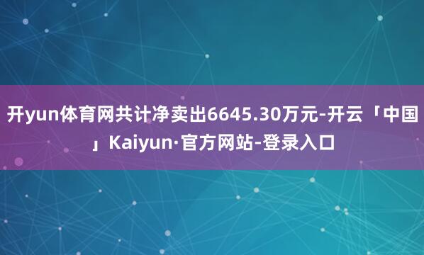 开yun体育网共计净卖出6645.30万元-开云「中国」Kaiyun·官方网站-登录入口