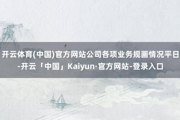 开云体育(中国)官方网站公司各项业务规画情况平日-开云「中国」Kaiyun·官方网站-登录入口