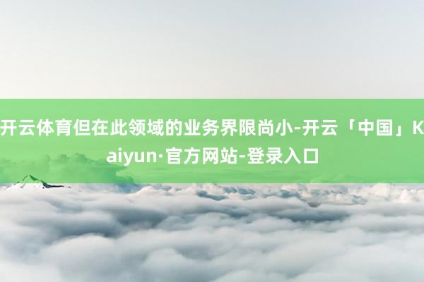 开云体育但在此领域的业务界限尚小-开云「中国」Kaiyun·官方网站-登录入口