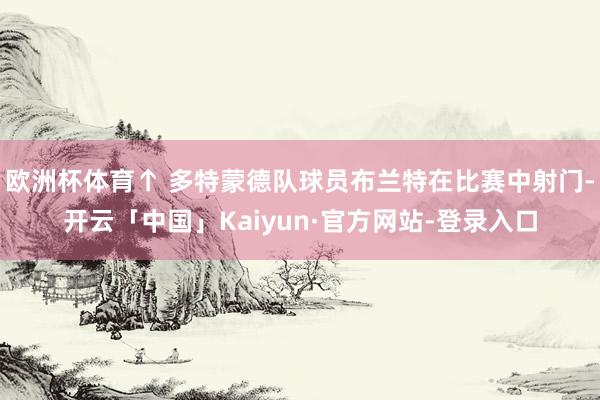 欧洲杯体育↑ 多特蒙德队球员布兰特在比赛中射门-开云「中国」Kaiyun·官方网站-登录入口