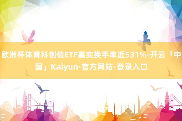 欧洲杯体育科创债ETF嘉实换手率近531%-开云「中国」Kaiyun·官方网站-登录入口