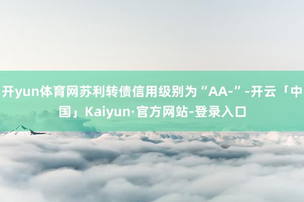 开yun体育网苏利转债信用级别为“AA-”-开云「中国」Kaiyun·官方网站-登录入口