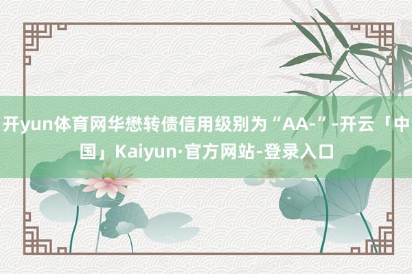 开yun体育网华懋转债信用级别为“AA-”-开云「中国」Kaiyun·官方网站-登录入口